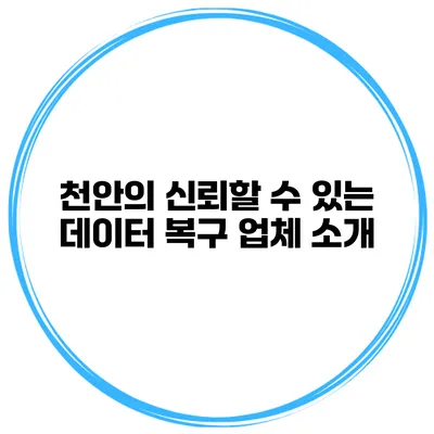 천안의 신뢰할 수 있는 데이터 복구 업체 소개